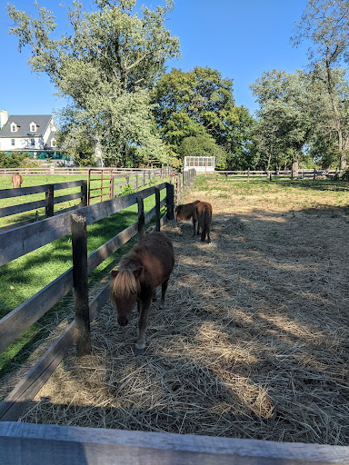 Winery «Aspen Dale Winery at the Barn», reviews and photos, 11083 John Marshall Hwy, Delaplane, VA 20144, USA