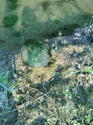 Water Park «Hydrous Wake Park», reviews and photos, 280 E Eldorado Pkwy, Little Elm, TX 75068, USA