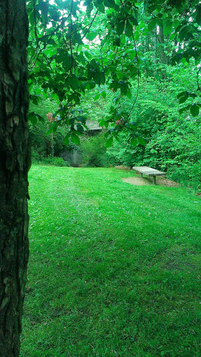 Park «Cowen Park», reviews and photos, 5849 15th Ave NE, Seattle, WA 98105, USA