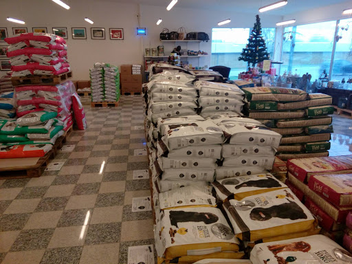 Foder til hund og kat in Randers SV, Randers