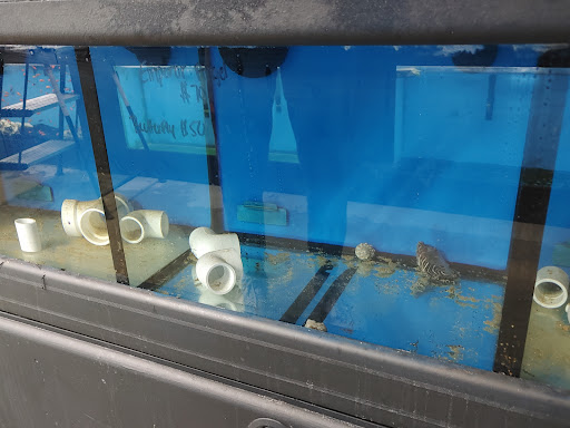 Pet Supply Store «Coastline Pet Supply», reviews and photos, 3530 Northgate Dr, Myrtle Beach, SC 29588, USA