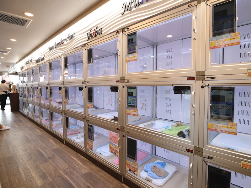 ペットショップcoo Riku 足立本店 東京都足立区鹿浜 ペットショップ グルコミ