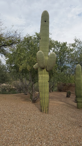 Natural Foods Store «Natural Grocers», reviews and photos, 6320 N Oracle Rd, Tucson, AZ 85704, USA