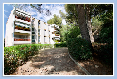 Silvain Roulin E.I. conseiller immobilier Capifrance à Pierrelatte