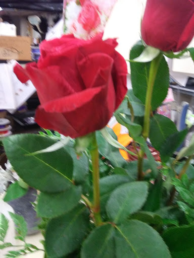 Florist «Relles Florist», reviews and photos, 2400 J St, Sacramento, CA 95816, USA