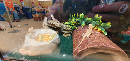 Pet Supply Store «PetSmart», reviews and photos, 742 S Meadow St, Ithaca, NY 14850, USA