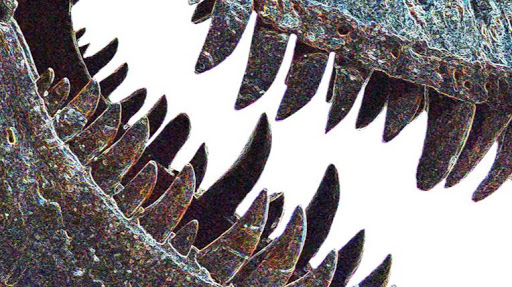 Natural History Museum «Yale Peabody Museum of Natural History», reviews and photos, 170 Whitney Ave, New Haven, CT 06511, USA