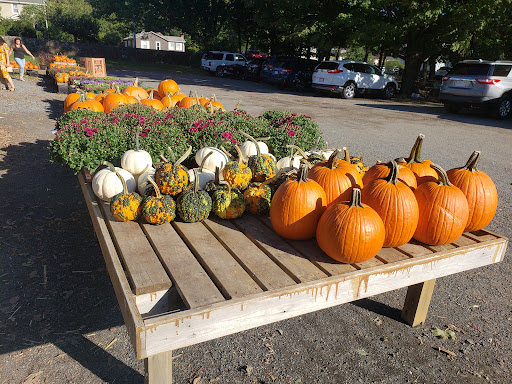 Farm «Langwater Farm», reviews and photos, 209 Washington St, North Easton, MA 02356, USA