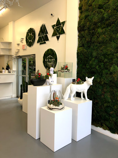 Interior Plant Service «Plant The Future, Inc.», reviews and photos, 2511 NW 2nd Ave, Miami, FL 33127, USA