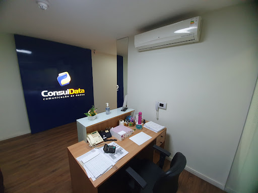 Logo da empresa - ConsulData