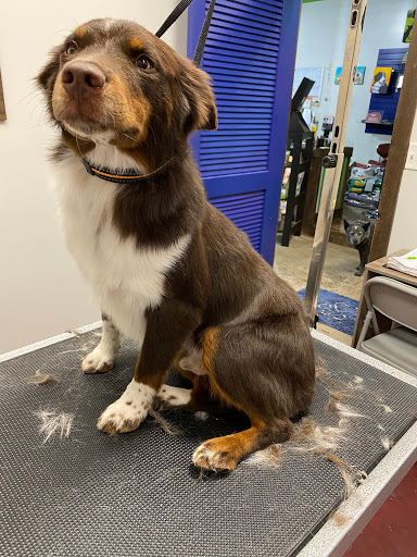 Pet Store «Healthy Pets Mountain West», reviews and photos, 2352 Fort Union Blvd, Cottonwood Heights, UT 84121, USA