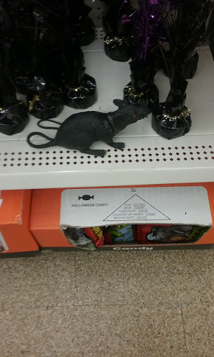 Dollar Store «Dollar Tree», reviews and photos, 555 El Camino Real, South San Francisco, CA 94080, USA