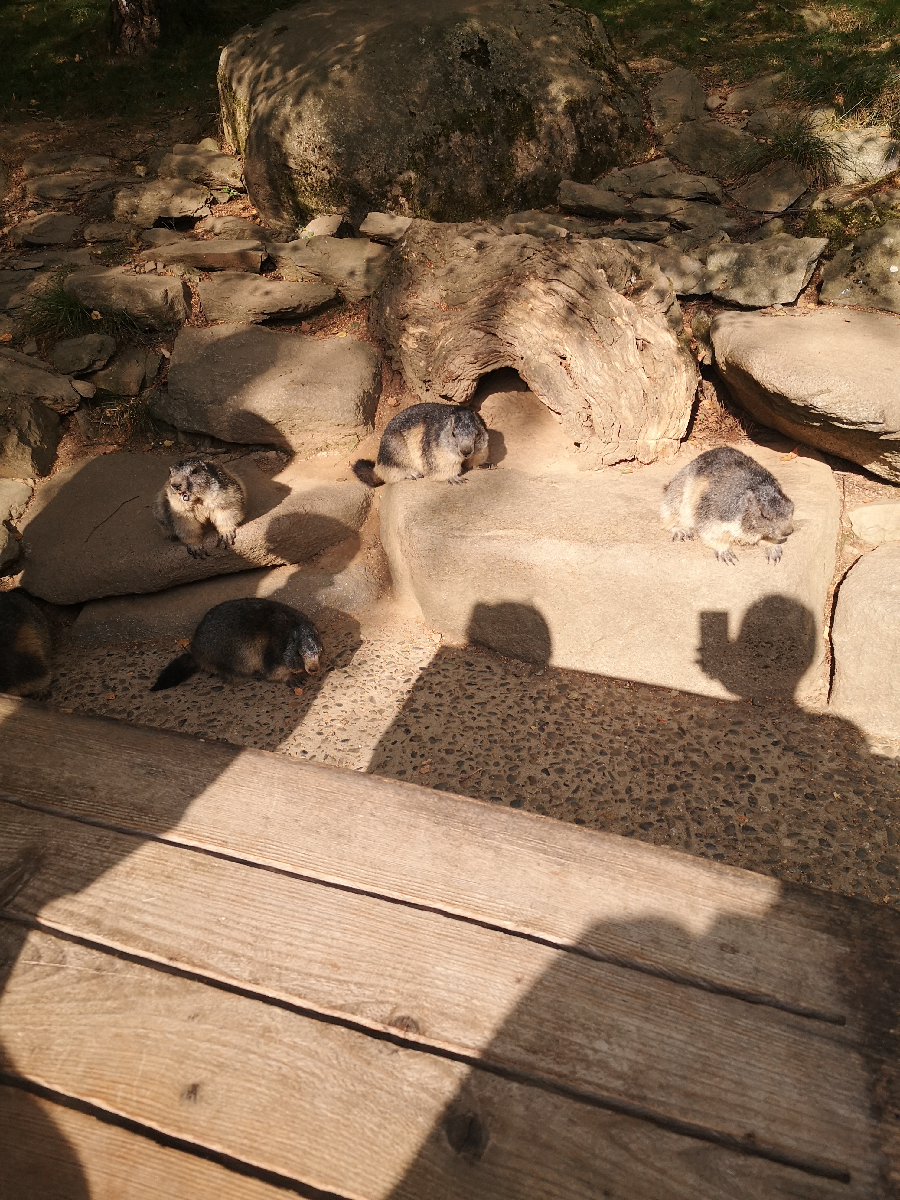 Photo n° 35 de l'avis de Xxx.x fait le 14/08/2020 à 21:01