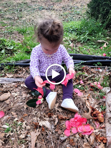 Grocery Store «Kroger», reviews and photos, 6199 GA-92, Acworth, GA 30102, USA