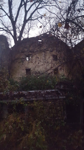 Park «Teegarden Park», reviews and photos, 440 Old State Rd, Berwyn, PA 19312, USA