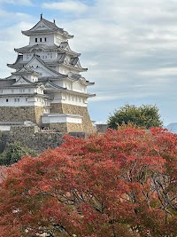 西の丸庭園