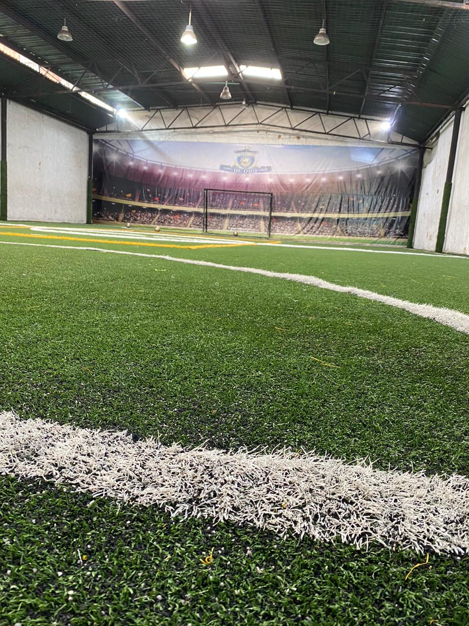 Cancha Sintetica Gool de Oro