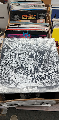 Book Store «Book Nook», reviews and photos, 3073 N Druid Hills Rd NE, Decatur, GA 30033, USA