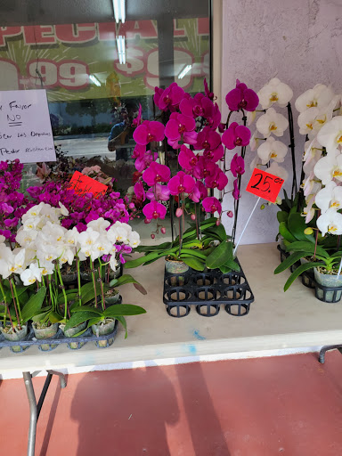 Florist «Avalon Flowers», reviews and photos, 1257 N Avalon Blvd, Wilmington, CA 90744, USA