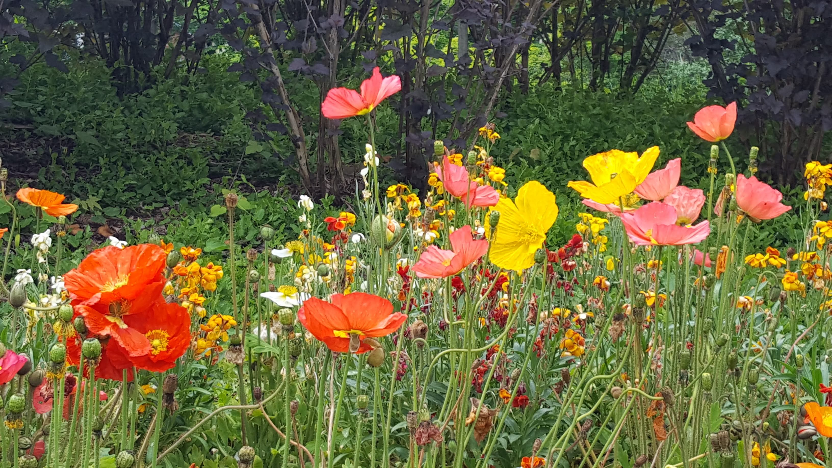 Photo n° 10 de l'avis de Sandrine.e fait le 22/05/2019 à 07:42