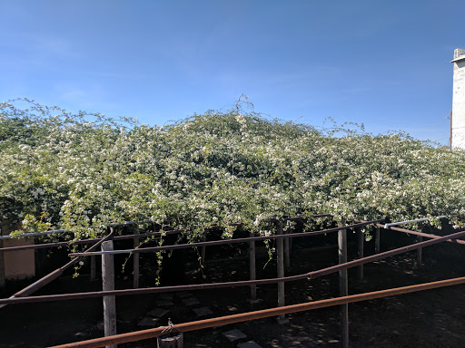 Theme Park «Old Tombstone Wild West Theme Park», reviews and photos, 339 S 4th St, Tombstone, AZ 85638, USA