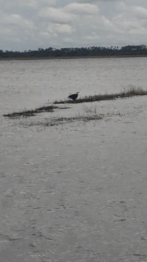 Boat Tour Agency «Airboat Rides at Loughman Lake», reviews and photos, 1955 Hatbill Rd, Mims, FL 32754, USA