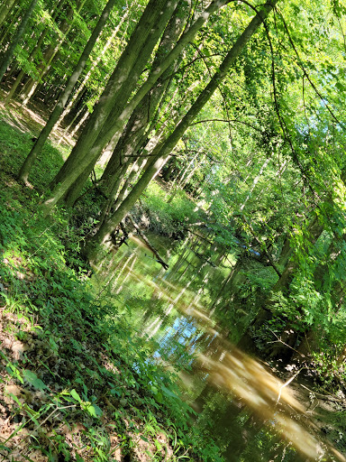 Community Center «Flat Rock Community Center», reviews and photos, 1 Maguire St, Flat Rock, MI 48134, USA