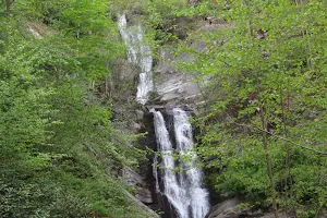 Toms Creek Falls Trail image