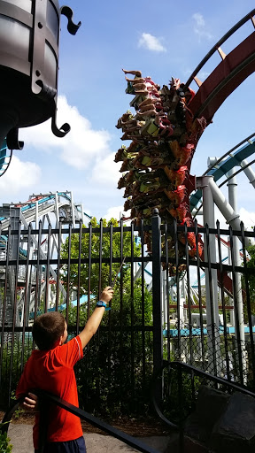 Roller Coaster «Dragon Challenge», reviews and photos, 6000 Universal Blvd, Orlando, FL 32819, USA