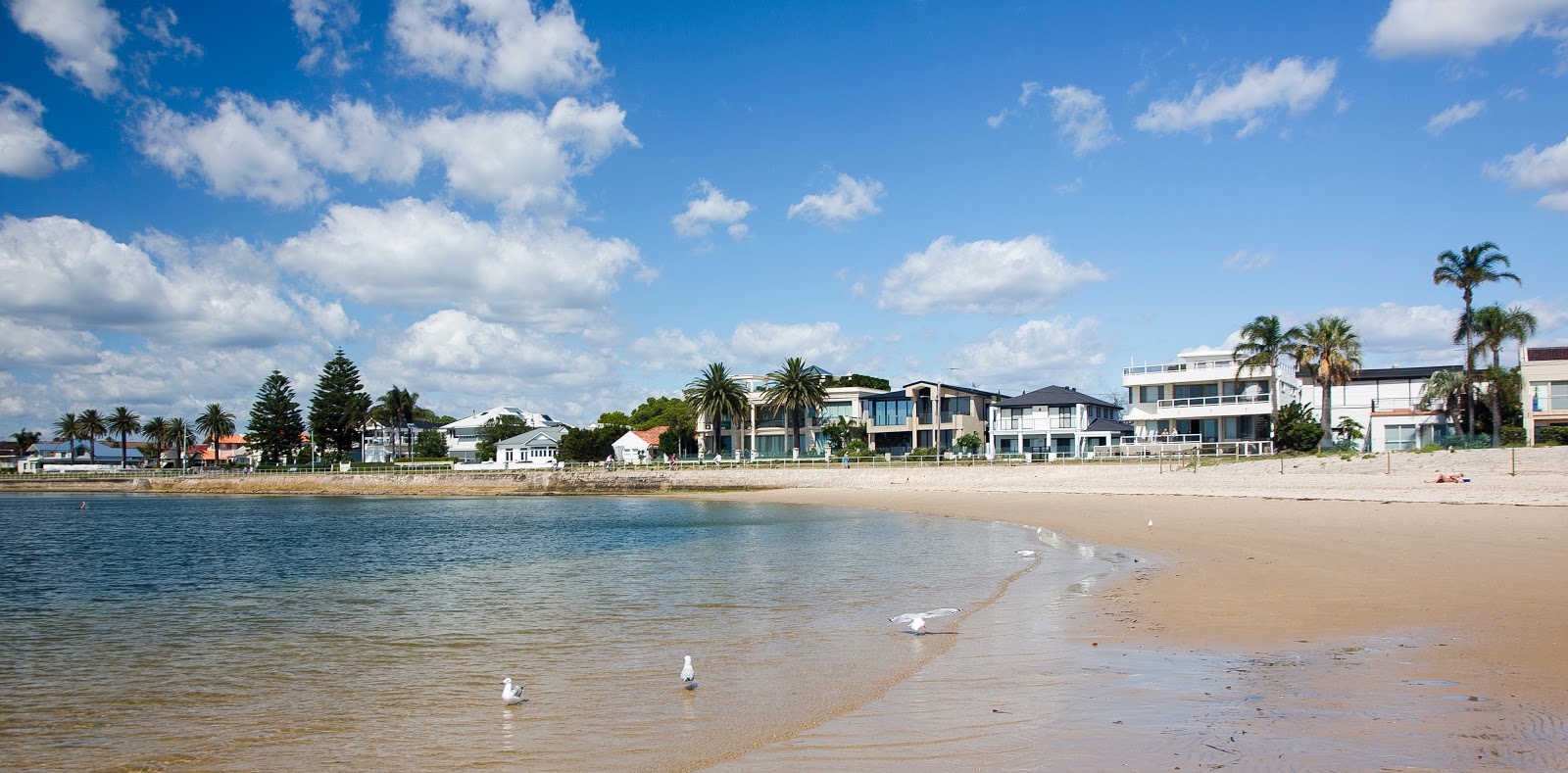 Brighton-Le-Sands Beach的照片 带有碧绿色纯水表面
