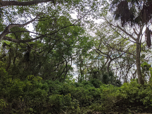 Nature Preserve «FIU Nature Preserve», reviews and photos, 11200 SW 8th St, Miami, FL 33199, USA