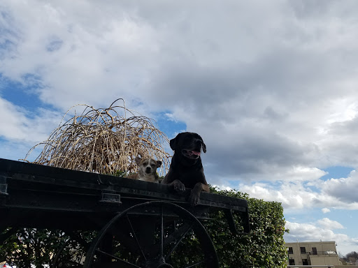 Community Center «Downtown Center», reviews and photos, 810 State St, Bristol, TN 37620, USA