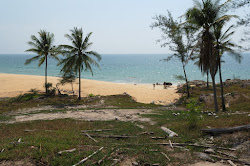 Beautiful beach的照片 位于自然区域