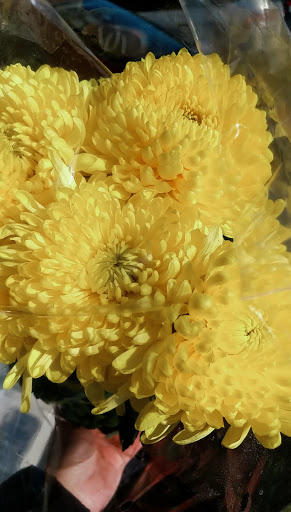 Asian Grocery Store «L & K Asian Market», reviews and photos, 1101 Hanover Ave, Allentown, PA 18109, USA