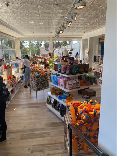 Pet Supply Store «Diggidy Dog», reviews and photos, Ocean Ave & Monte Verde St, Carmel-By-The-Sea, CA 93923, USA