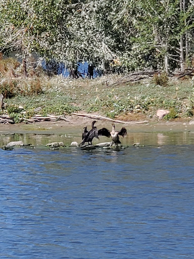 Park «Belmar Park», reviews and photos, 801 S Wadsworth Blvd, Lakewood, CO 80226, USA