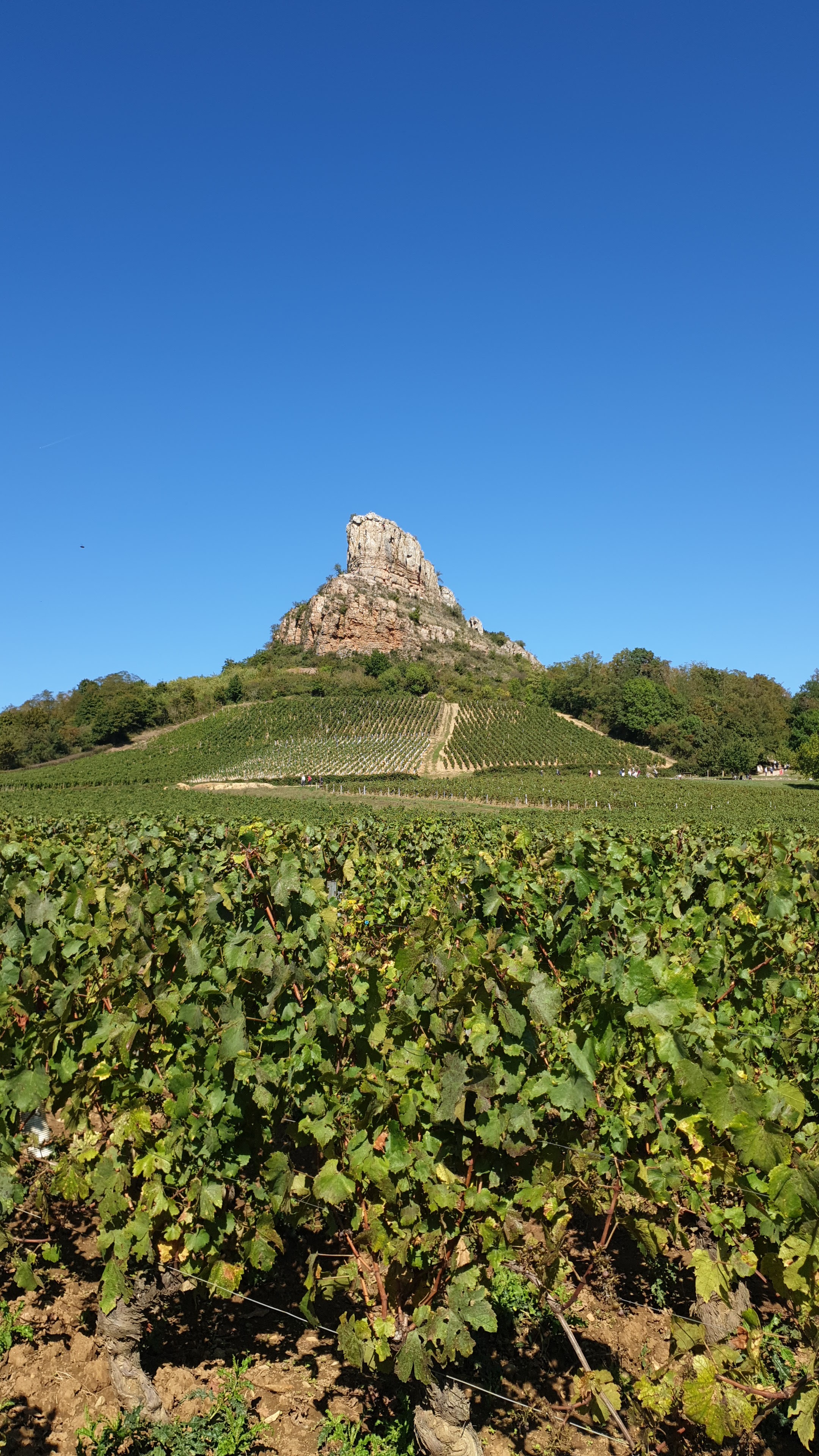 Photo n° 3 de l'avis de Arco6969.� fait le 18/09/2022 à 16:05