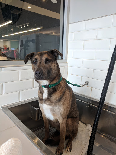 Petco image