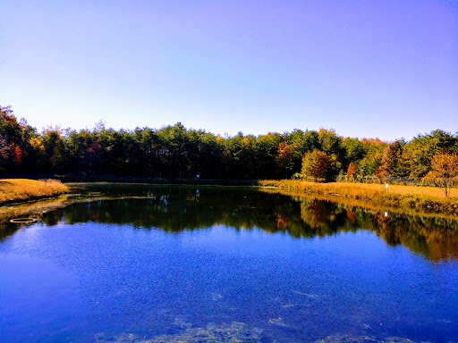 Car Wash «Autospa Carwash», reviews and photos, 3171 Golansky Blvd, Woodbridge, VA 22192, USA