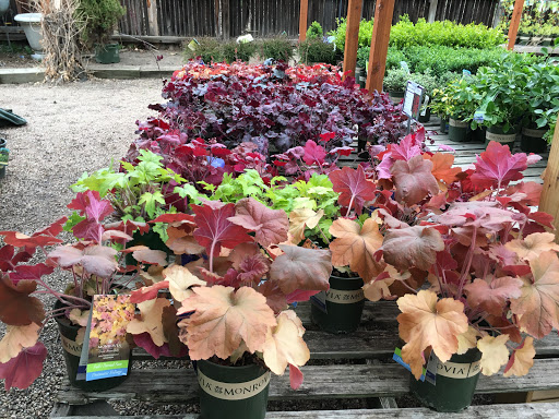 Plant Nursery «Sturtz & Copeland Florist & Greenhouses», reviews and photos, 2851 Valmont Rd, Boulder, CO 80301, USA