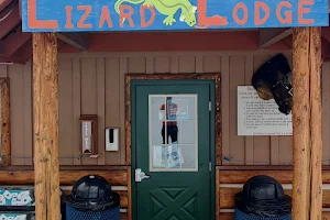 Lizard Lodge image