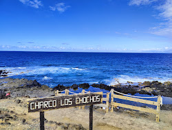 Foto von Charco Los Chochos wilde gegend