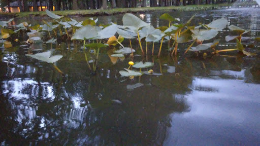 Park «Fords Park», reviews and photos, King Georges Rd, Woodbridge, NJ 07095, USA