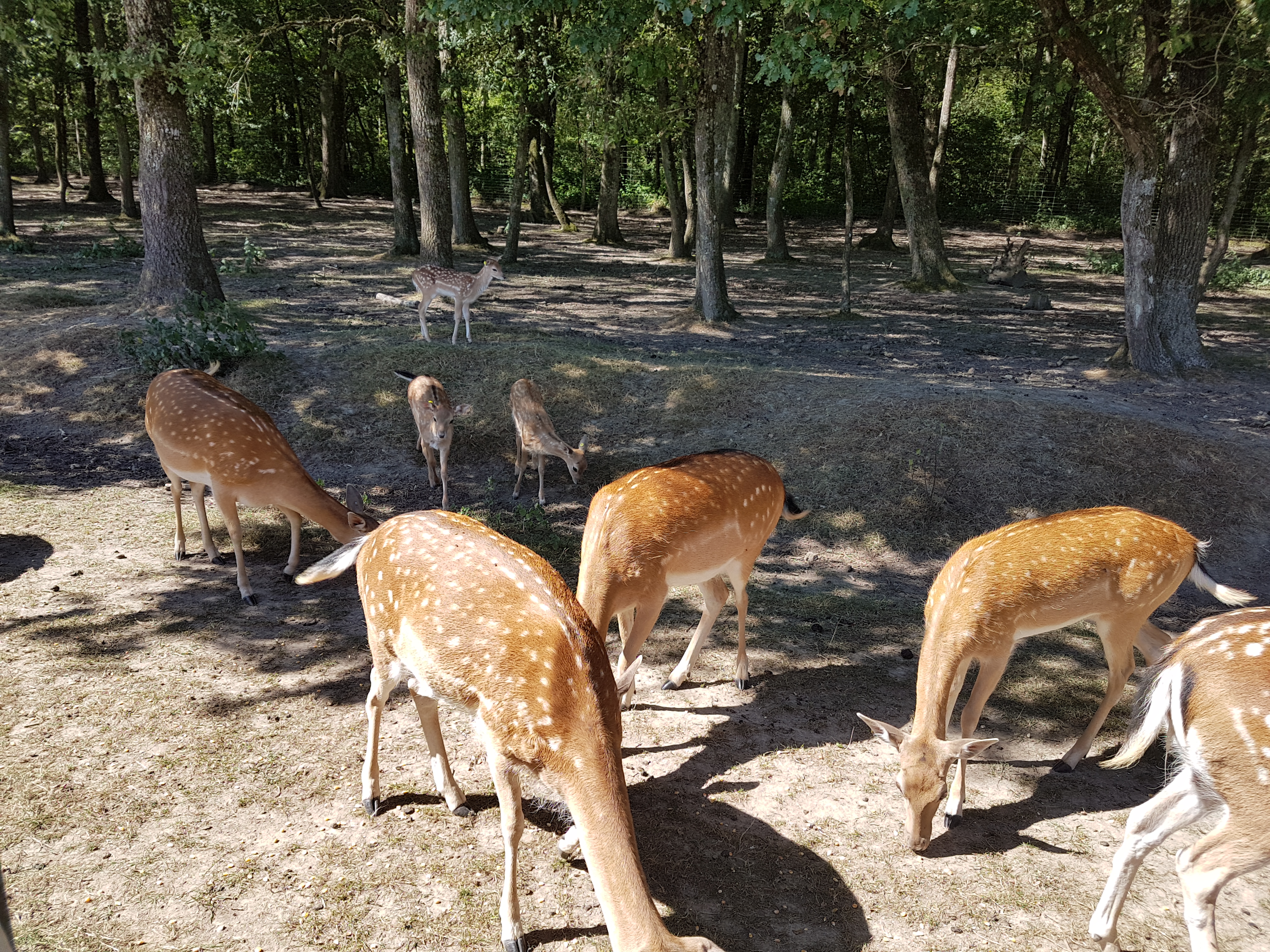 Photo n° 8 de l'avis de Antoine.u fait le 28/08/2018 à 20:48