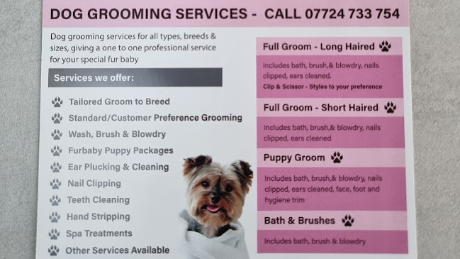 Leeds bullz k9 fertility clinic & professional dog grooming