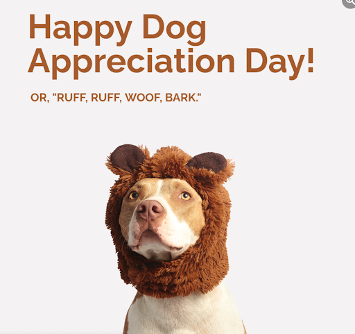 Real Estate School «Move4Free Realty LLC», reviews and photos, 8551 Rixlew Ln #140, Manassas, VA 20109, USA