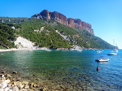 Plage de l'Arene'in fotoğrafı çok temiz temizlik seviyesi ile