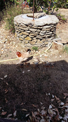 Bhd à Groix