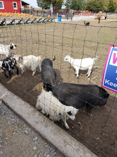 Tourist Attraction «Lucky Ladd Farms», reviews and photos, 4374 Rocky Glade Rd, Eagleville, TN 37060, USA