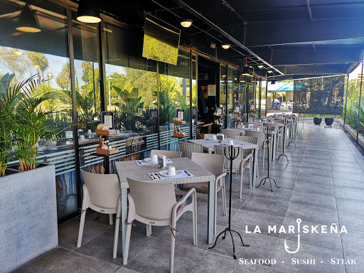 Cafeteria de gatos en León